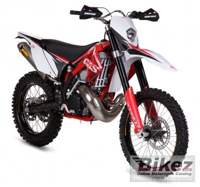 2011 GAS GAS EC 300 2T E photo